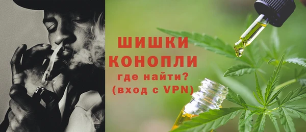 ешки Белокуриха