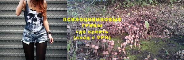 спиды Беломорск