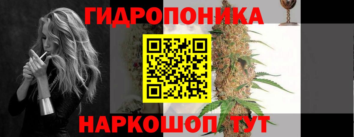 Конопля AK-47 Великий Устюг